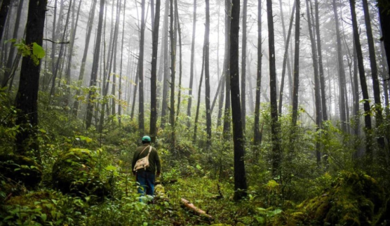 Nature tourism is gaining ground in Querétaro